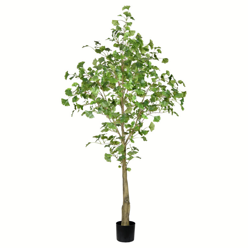Latitude Run Artificial Ginkgo Tree in Pot Wayfair